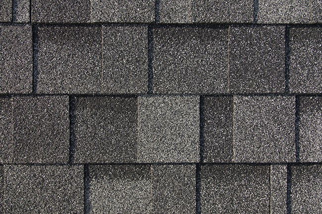 Dual Black - Shingles