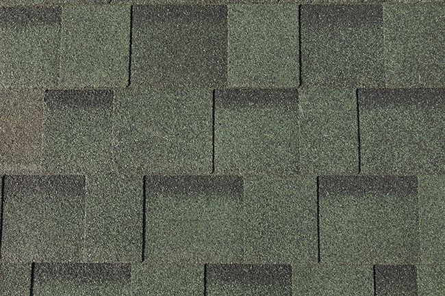 Forest Green - Shingles