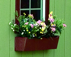 10' Window Box.