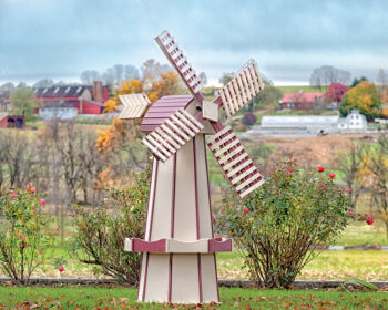 Ivory & Cherrywood Windmill with a farm in the background.