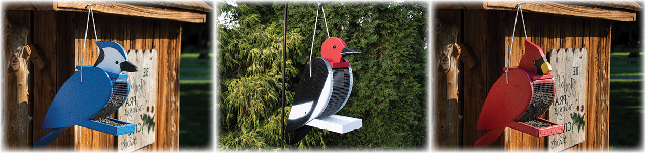 Bird Feeder Slider Banner.