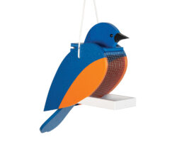 Blue Bird Poly Bird Feeder.