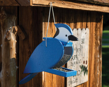 Blue Jay Poly Bird Feeder.