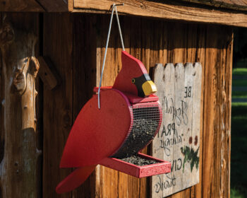 Cardinal Poly Bird Feeder.