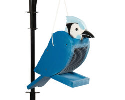 Blue Jay Wood Bird Feeder.