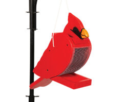 Cardinal Wood Bird Feeder.