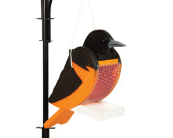 Oriole Wood Bird Feeder.