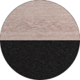 Poly Color Sample Seashell on Black.