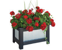 Planter.