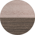 Seashell on Coastal Gray.