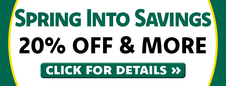 Spring Into Savings.
