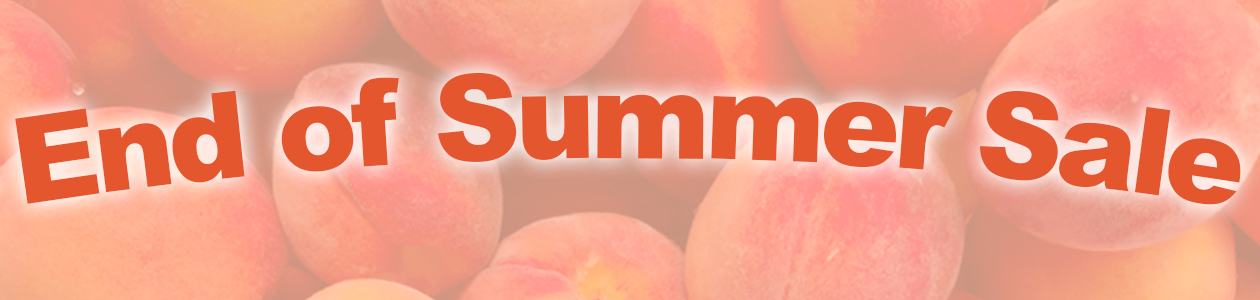 End of Summer Sale.