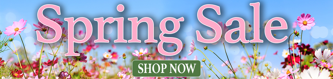 PA_Spring Sale_Main Slider_desktop.