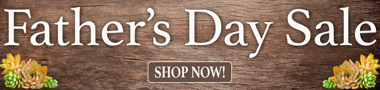 PA_Father's Day_Main Slider_desktop.